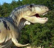 Dinosaurio. Puntos Función en extinción?
