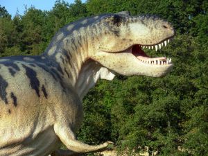 Dinosaurio. Puntos Función en extinción?