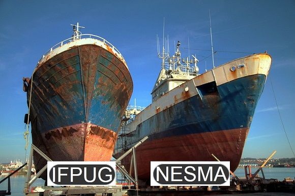 Puntos Función IFPUG y NESMA (nuevo desarrollo)