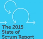 scrum report 2015