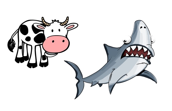 vaca y tiburon